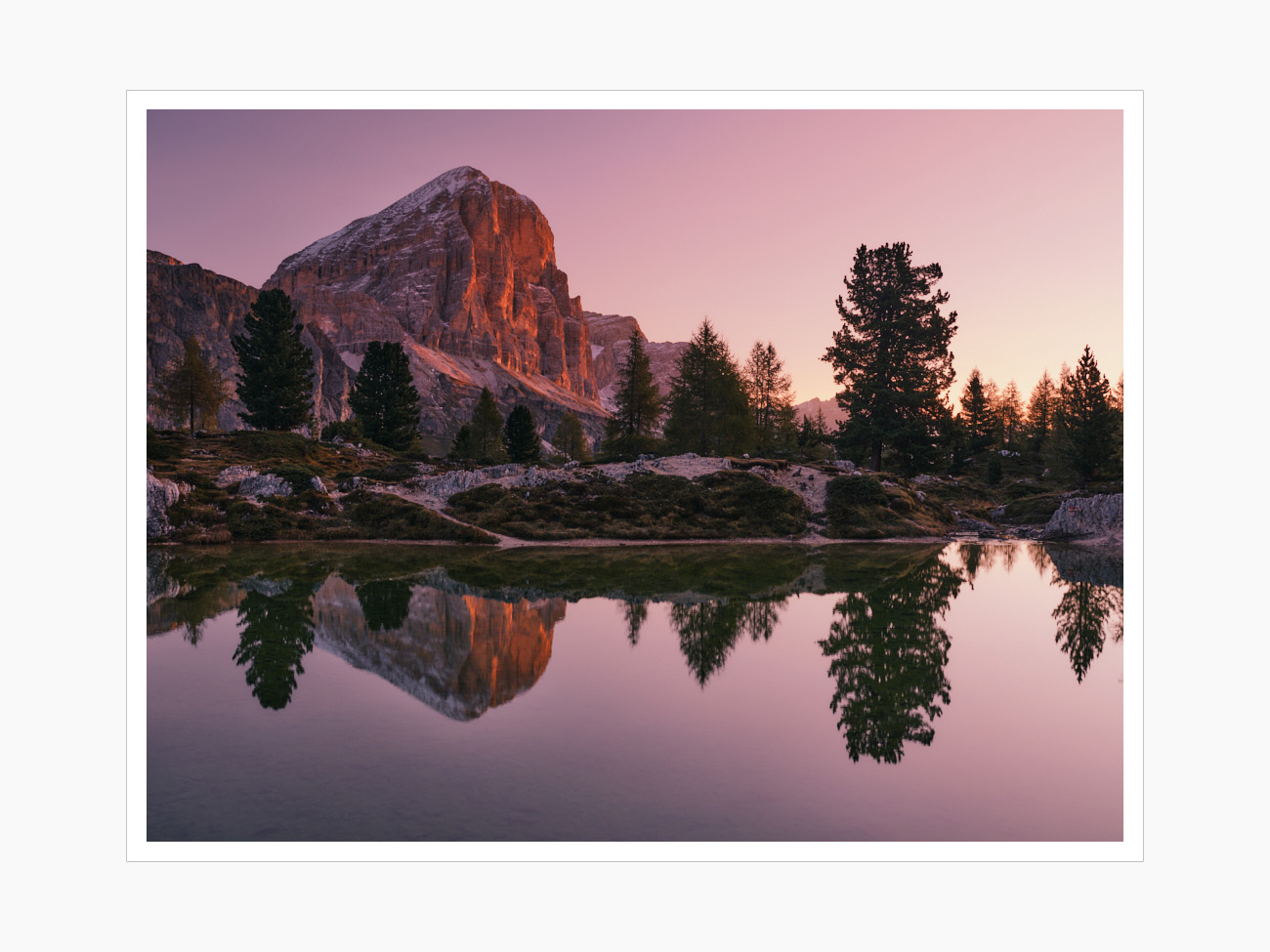 Max Schiefele Alle Bilder  DSF2974